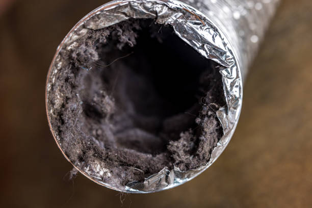 Best HVAC Duct Inspection Services  in Sebring, FL