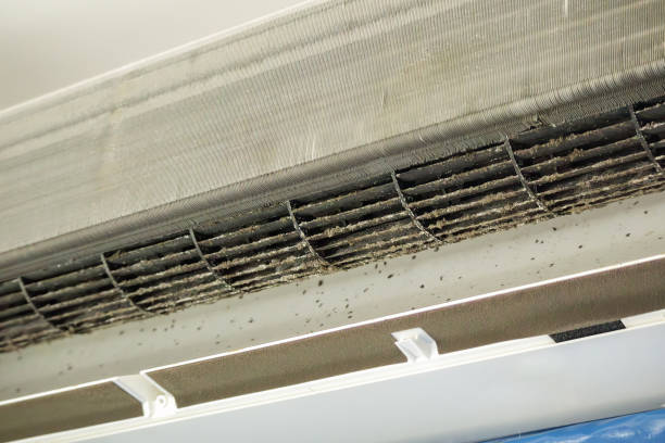 Best Air Duct Cleaning Near Me  in Sebring, FL